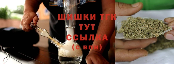 шишки Переславль-Залесский