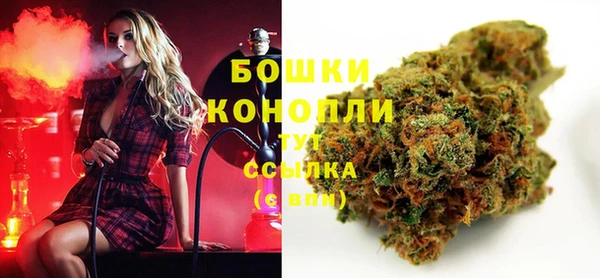 шишки Переславль-Залесский