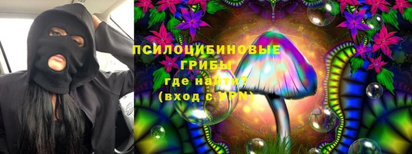 шишки Переславль-Залесский