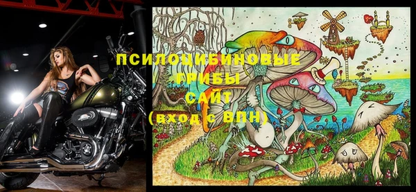 дживик Остров