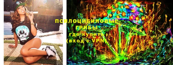 шишки Переславль-Залесский