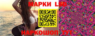 мяу мяу мука Ирбит