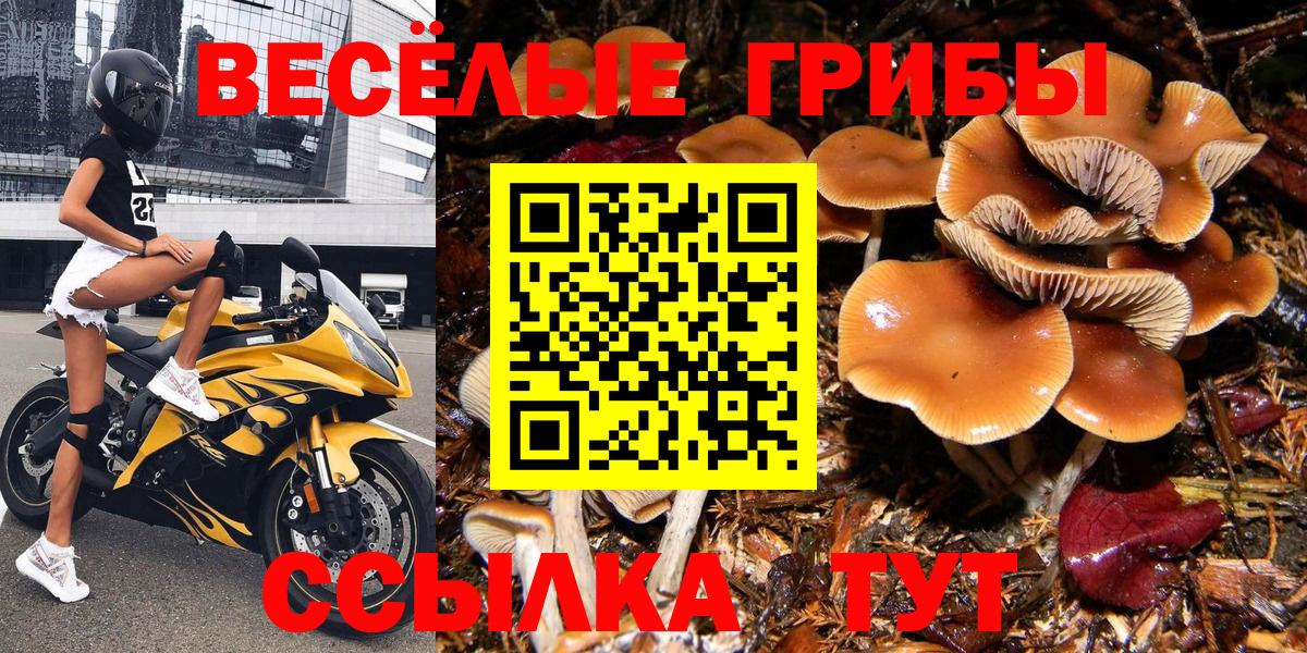 Псилоцибиновые грибы MAGIC MUSHROOMS  Галлюциногенные грибы GOLDEN TEACHER  Краснокаменск  Вход с VPN 