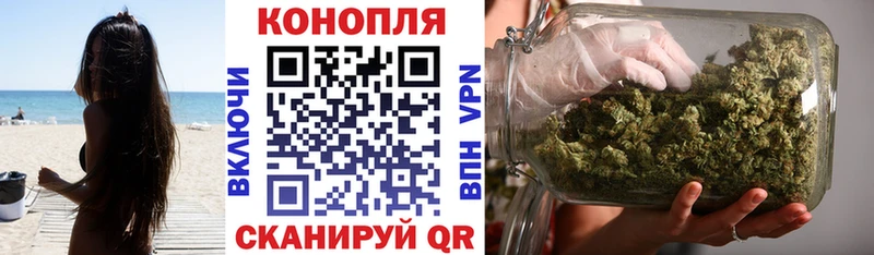 МЕГА   Краснокаменск  Каннабис гибрид 